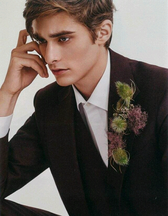 maxencedanetfauvel法版e神法兰西最适合演吸血鬼的男人