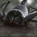 方舟自创生物/原版生物重置：肺蝎/巨蝎！