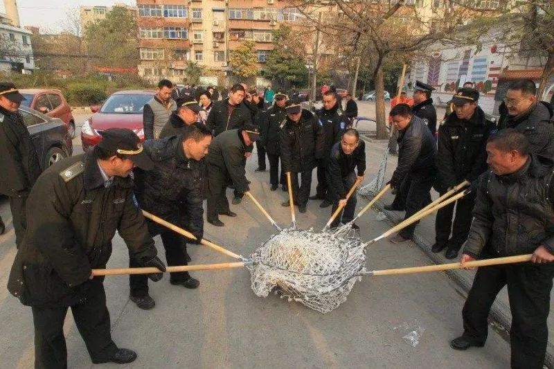 文明养狗被打,"爱狗人士"贬义化,狗做错了什么?