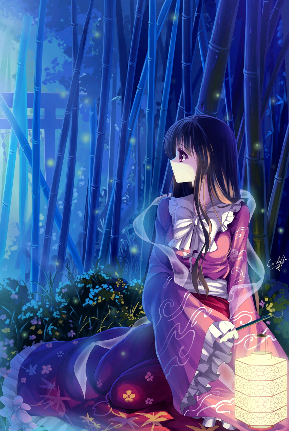 东方永夜抄〗蓬莱山辉夜(永远と须臾の罪人)的同人插画作品