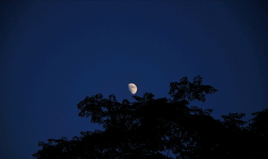 徐桑站起来,朝窗外看去,只见墨色的夜空中出现了一轮弯月