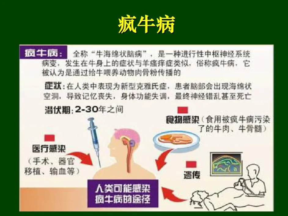 关于疯牛病的一篇文章 哔哩哔哩