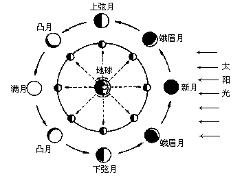 月亮变化的原因图解图片