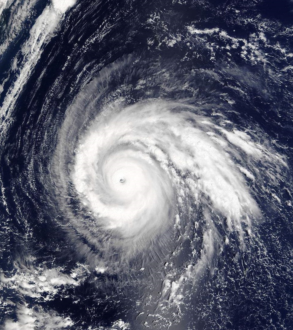 台风山竹来势汹汹,山竹这个名字是谁起的?根