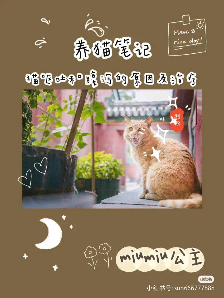 养猫笔记:猫呕吐和腹泻的原因及治疗- 哔哩哔哩