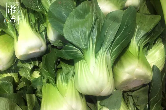 包包白、瓢儿白都叫白菜，重庆人口中的白菜，到底是什么？ - 哔哩哔哩