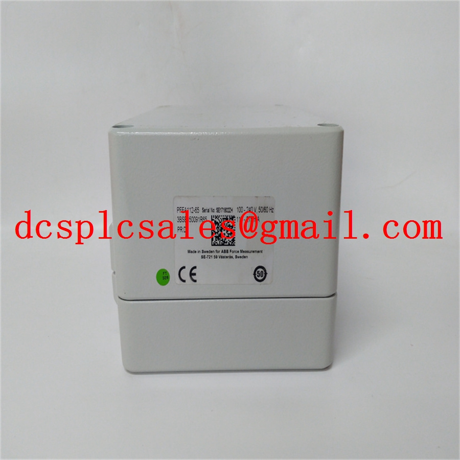 ABB PFEA11265 3BSE050091R65 具有4096位宽度的内存总线 哔哩哔哩