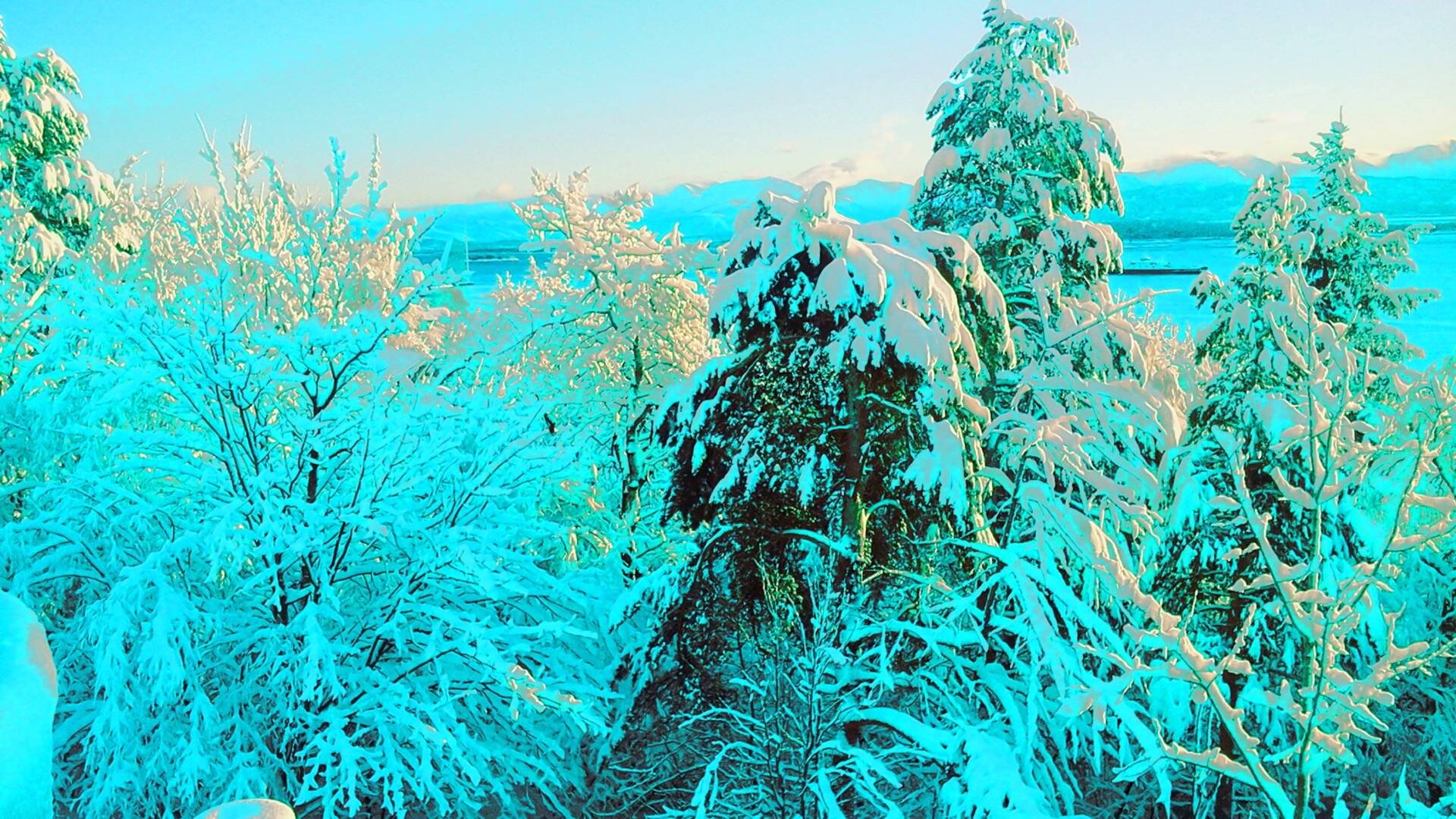 冬季雪景高清动态壁纸 - 哔哩哔哩