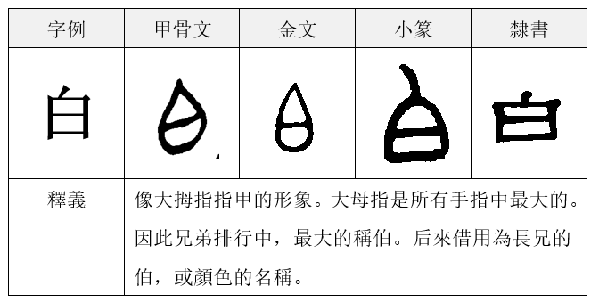 身体部位甲骨文图片