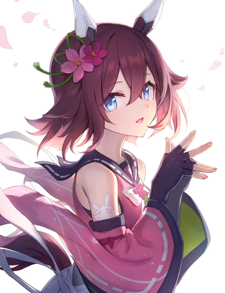 pixiv美图壁纸排行 - pixviid怎么用 - 实验室设备网