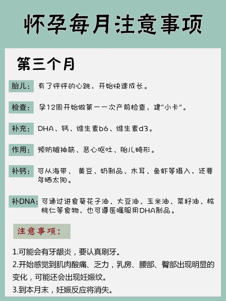 孕期每个月要注意什么教你安全度过孕期 哔哩哔哩