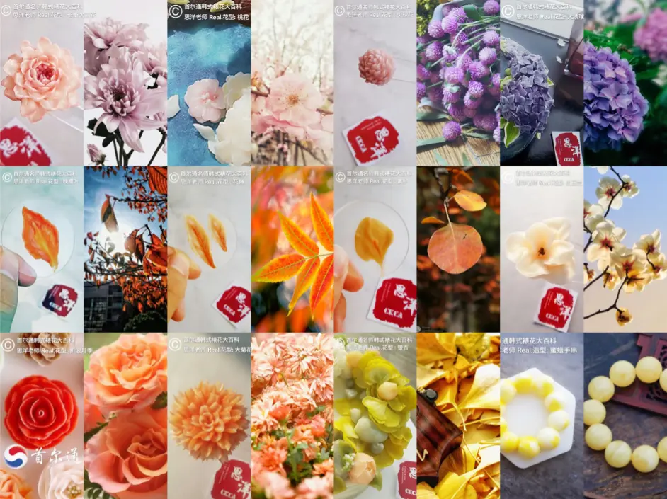 首尔通韩式裱花调色配色秘籍 色相环原理与配色 哔哩哔哩