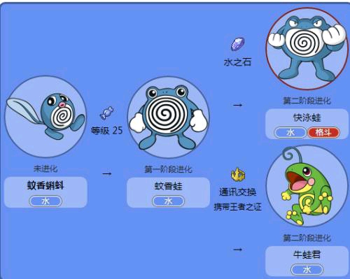 它的三个脚趾也是黄色,它的下巴是黄色的类似于芭瓢虫,腹部也是黄色