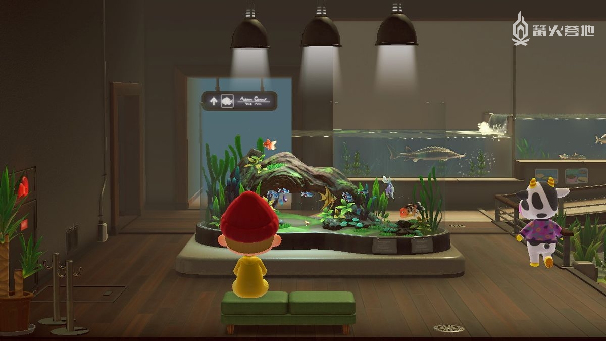 专业人士如何看待动森中的博物馆设计