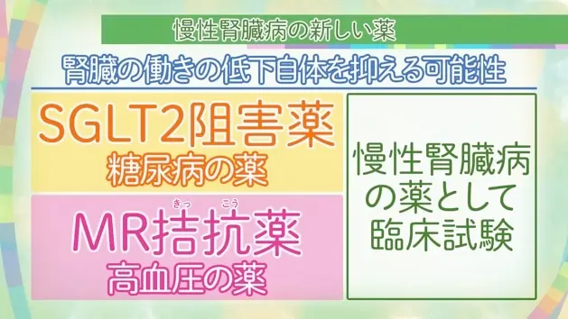 慢性腎臓病の新しい薬やビッグデータを解析した新たな治療戦略について 哔哩哔哩