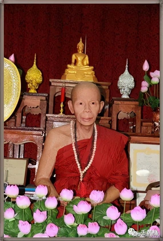 泰国古巴大师排名图片
