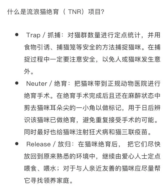 绝育对宠物来说是不是很残忍？关于绝育，你需要了解的都在这里