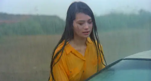 张瑞竹:怜星宫主的斜杠生活