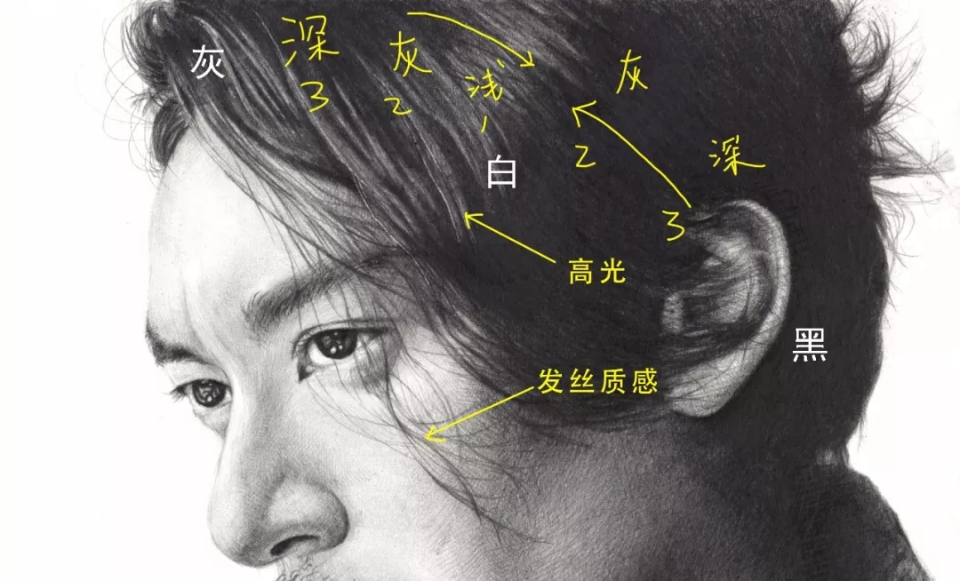 黑白灰与明暗五调子 | 玩艺课堂