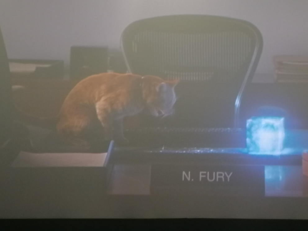 惊奇队长彩蛋介绍!和复联三结尾,还有复联四的