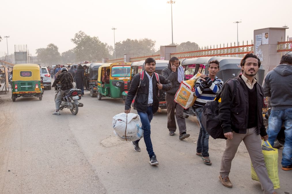 印度城市街头实拍:所谓的神牛都在街头流浪,垃圾堆里觅食为生 - 哔哩