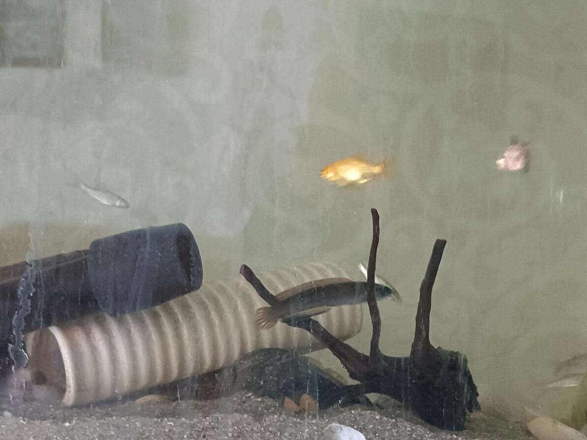 招人图片配图_招人用什么软件免费_招人