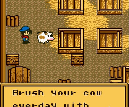 牧场物语1代攻略 gb牧场物语初代攻略