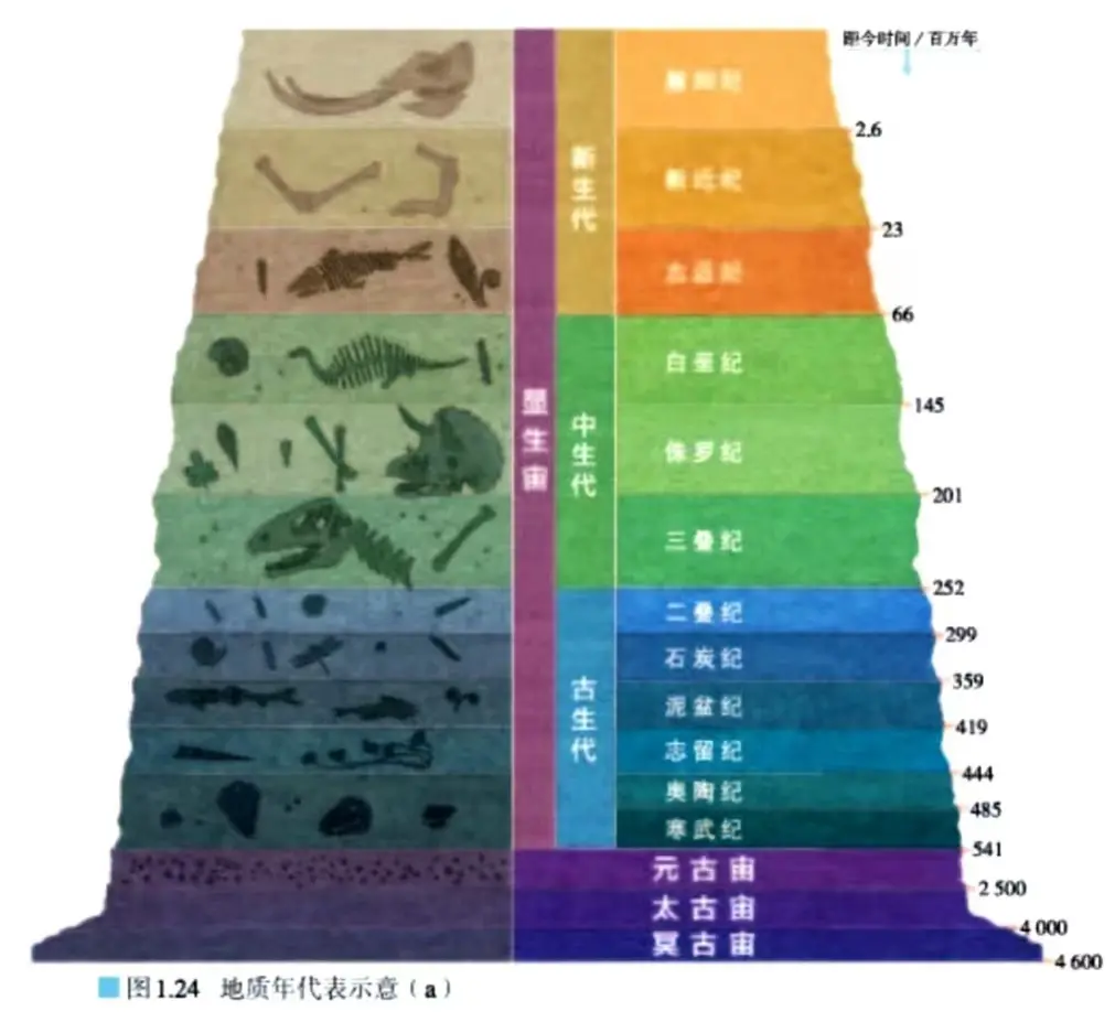 科学家对全球各地的地层和古生物化石进行了对比研究,发现地球演化