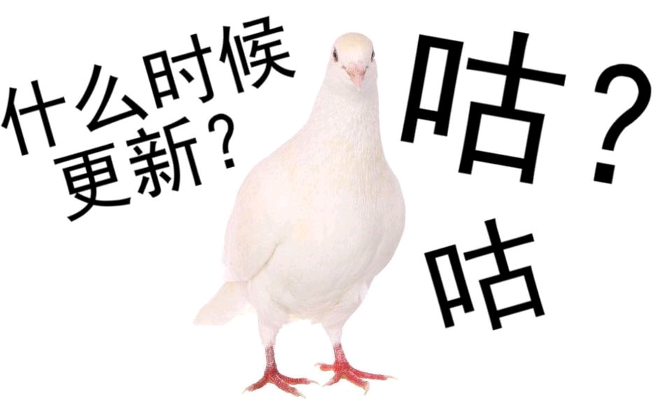 观众吃瓜：放鸽子是什么意思？网友科普揭秘