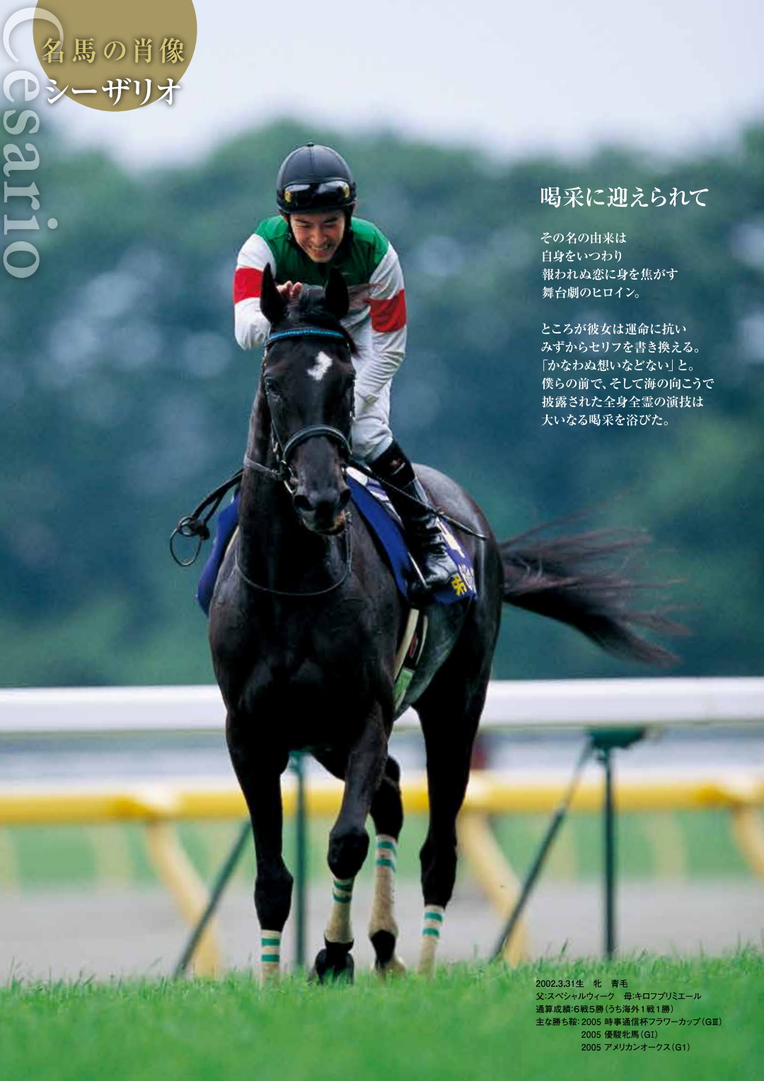 名馬の肖像(2017年) 哔哩哔哩