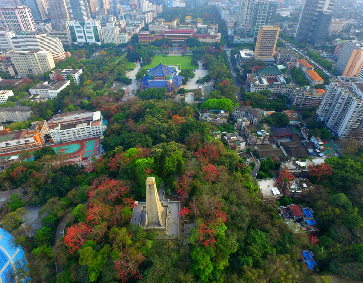 征文选登:我在越秀山组织了一场有声有色的干部党史学习教育活动