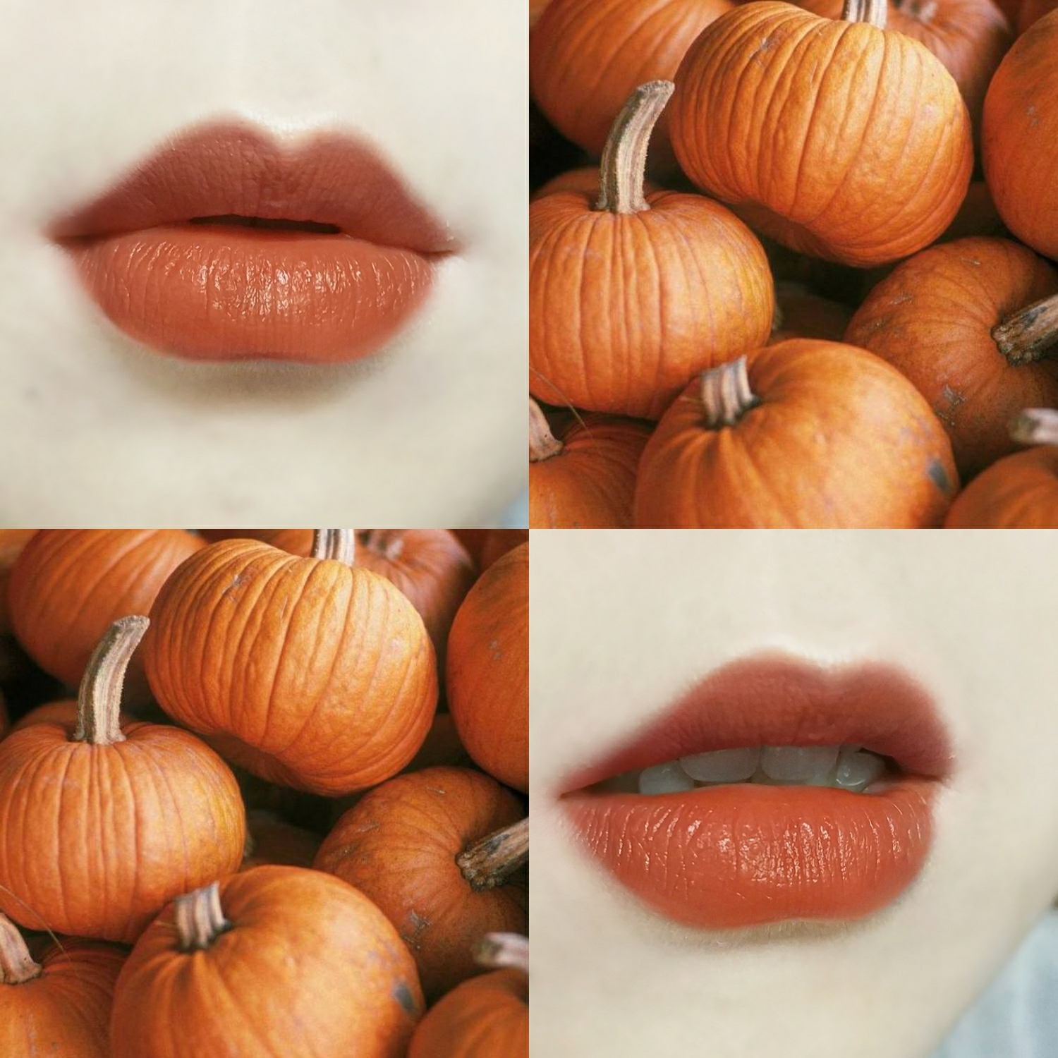 【平价口红】这么小众的南瓜色,难道不配有姓名嘛