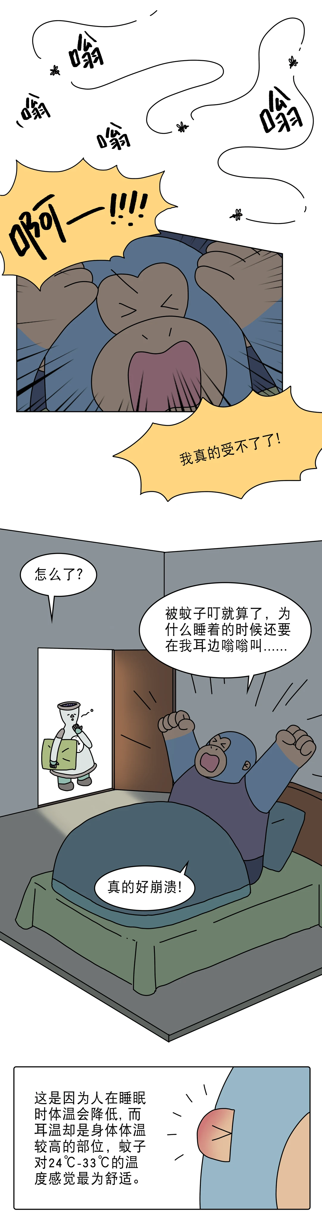 蚊子嗡嗡叫竟然是在做这种事？