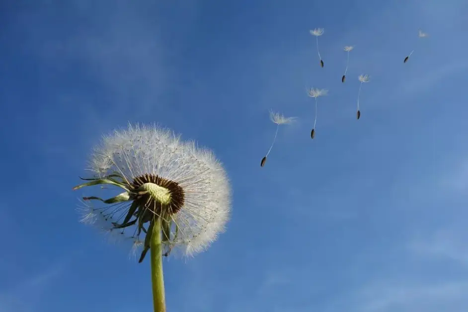 易经 八卦到底是个啥 快速记忆法 哔哩哔哩