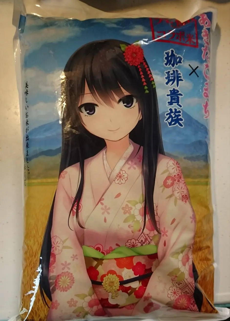 Gal 逐渐淡出我们眼球的画师 咖啡贵族 哔哩哔哩