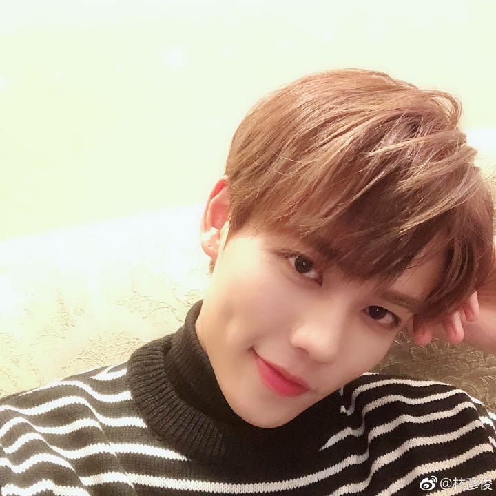 林彦俊×你 舍不得【微病娇】