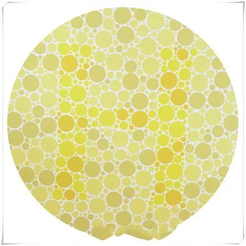 5张色盲色弱检测图 第2张是兔子和鹅 妹妹非得说只有鹅 哔哩哔哩