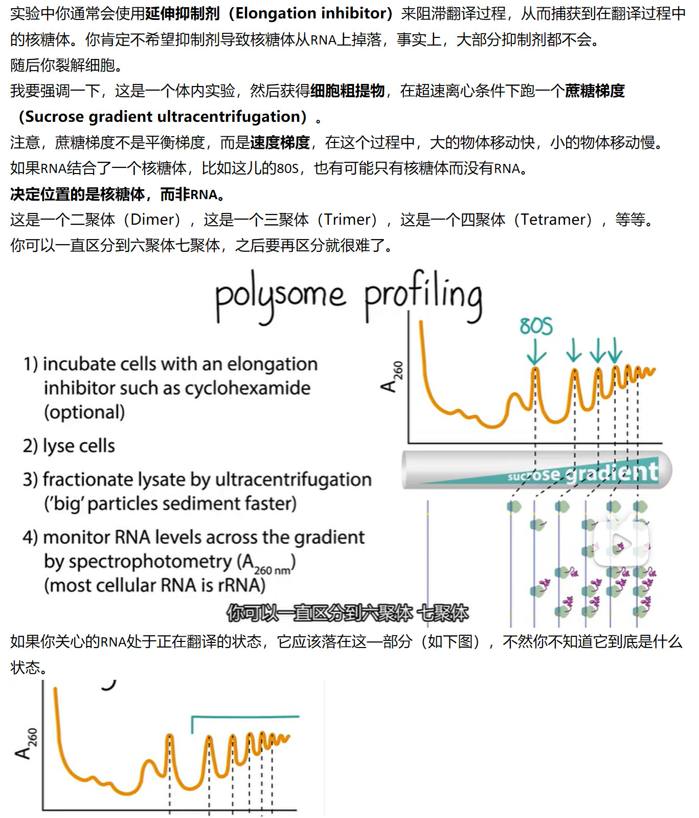 Mit Part Polysome Profiling