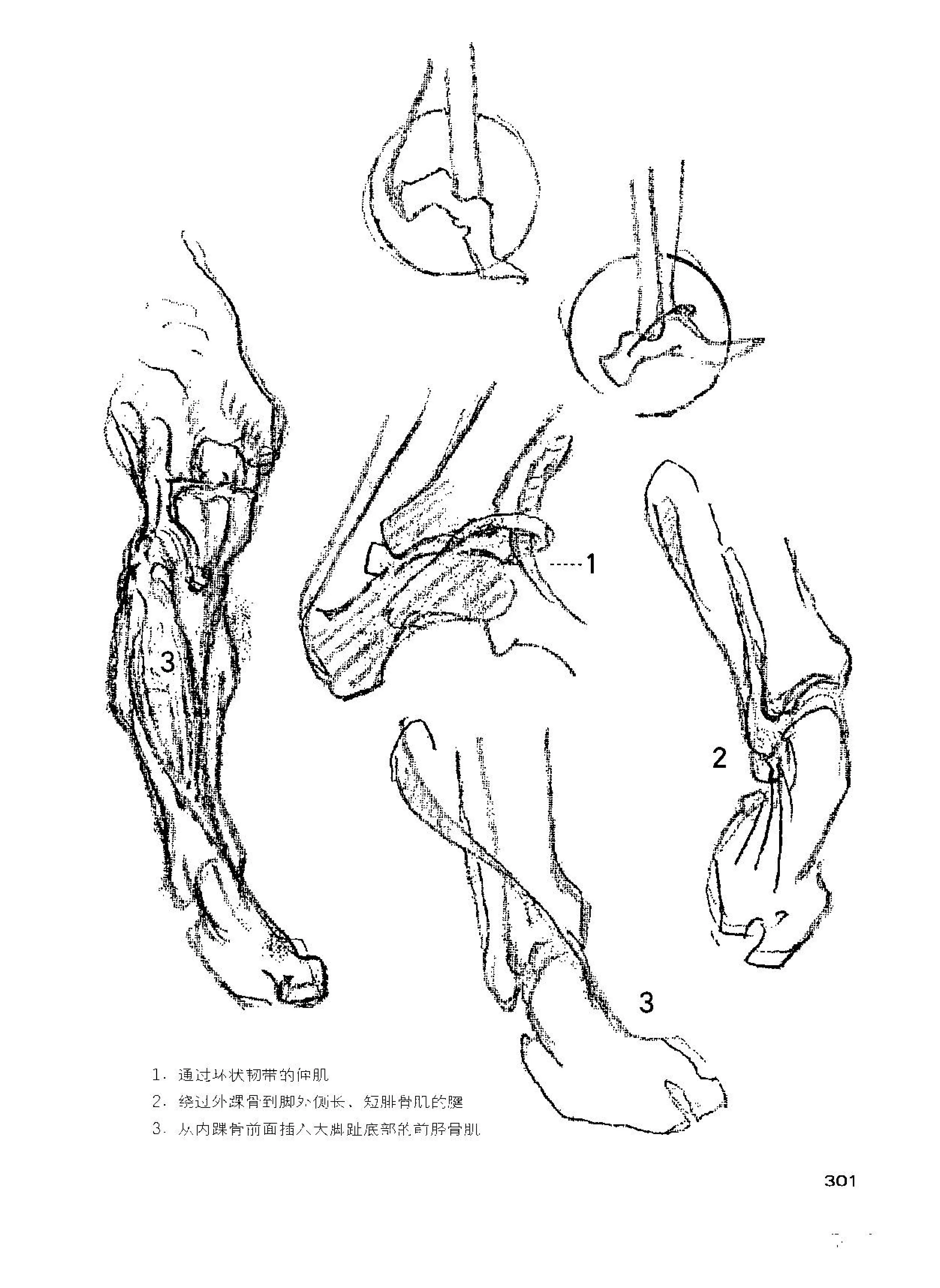 (美)乔治.伯里曼.中文.清晰扫描版(4)