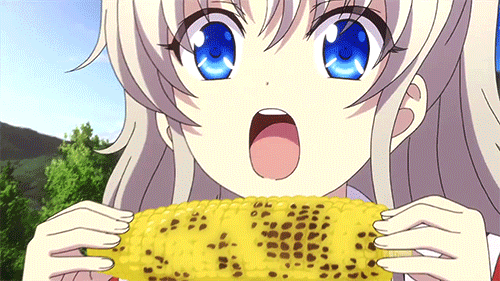 500_281gif 动态图 动图