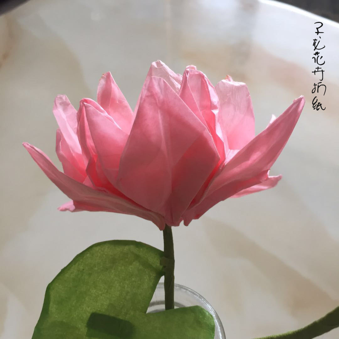 六瓣莲花荷花折纸 子龙花卉折纸