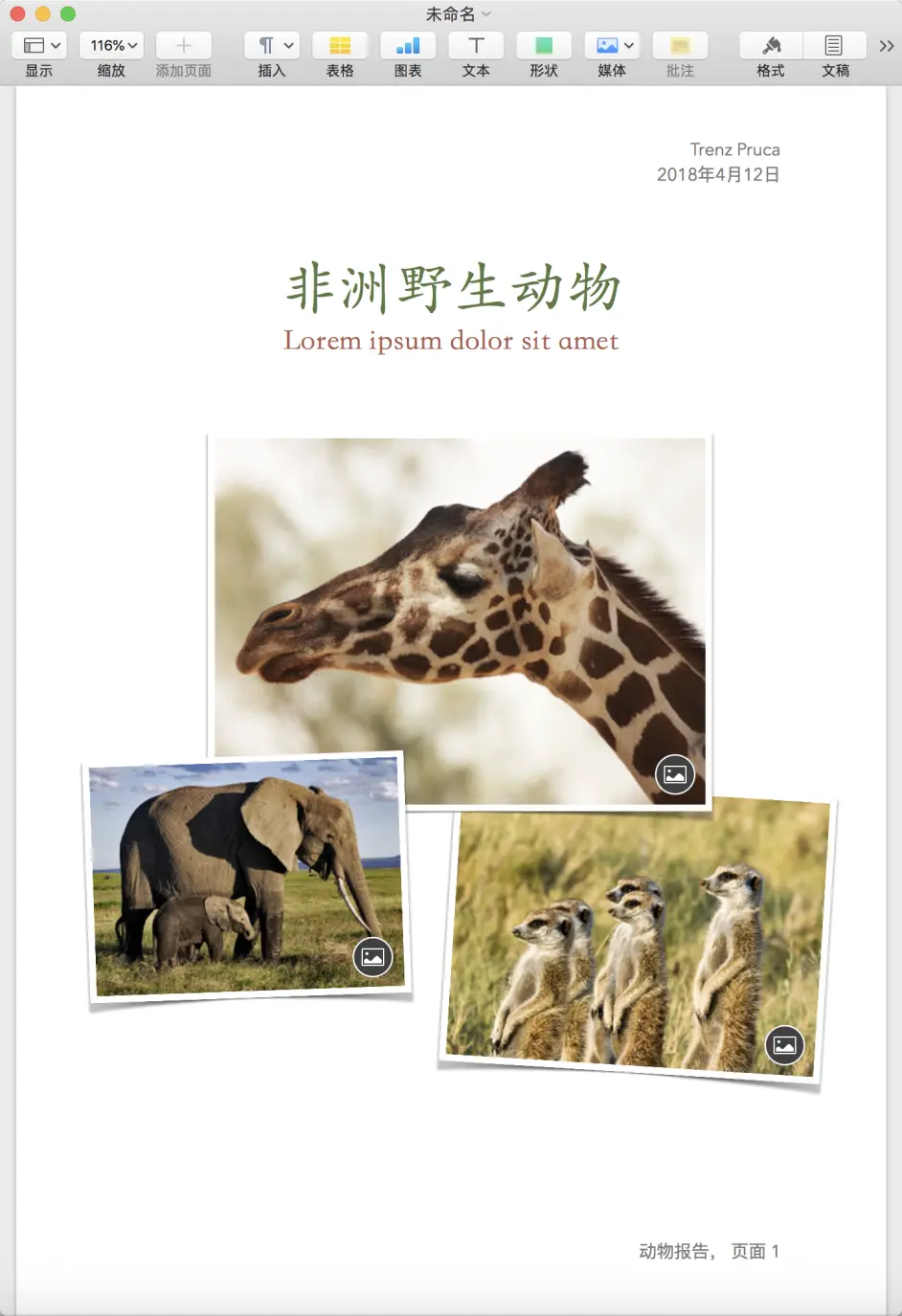 Pages让你的文稿投胎成高富帅 何大卫叔叔的mac学院第一弹 哔哩哔哩 Pages让你的文稿投胎成高富帅 何大卫叔叔的mac学院第一弹 哔哩哔哩