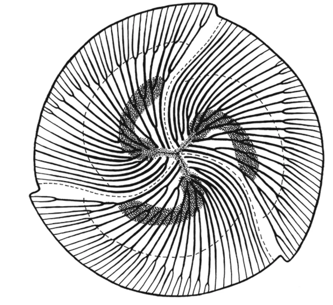 白海飞流紫塞空