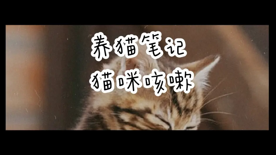 养猫笔记:猫咪咳嗽- 哔哩哔哩