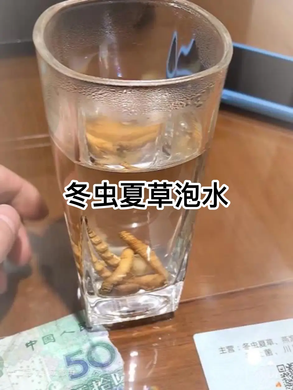 虫草泡水一次几根 虫草泡水喝怎么泡最好 一根冬虫夏草泡几次水 哔哩哔哩