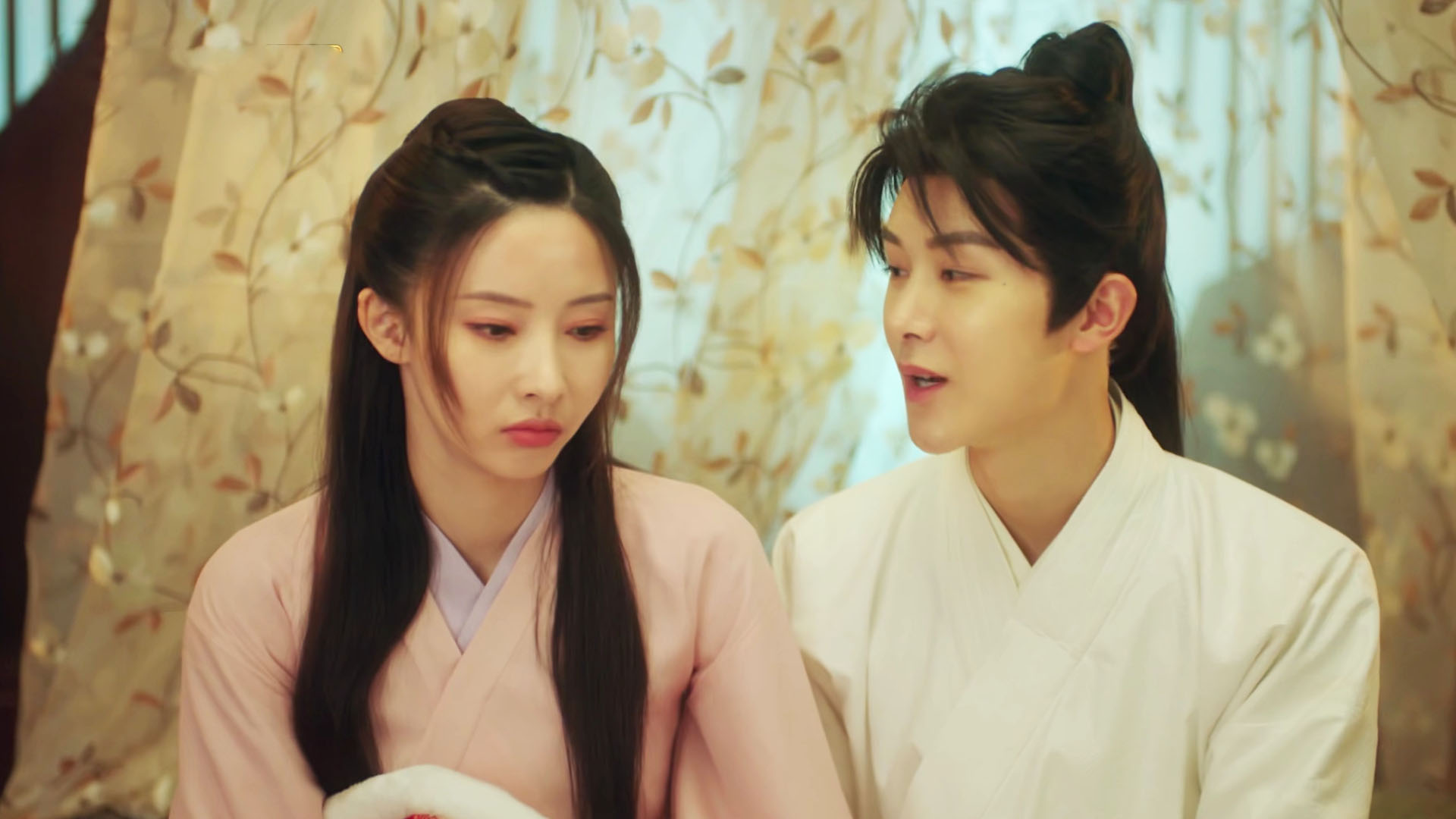 念念无明两对cp莲藕夫妇甜蜜互宠文房四宝为爱守护