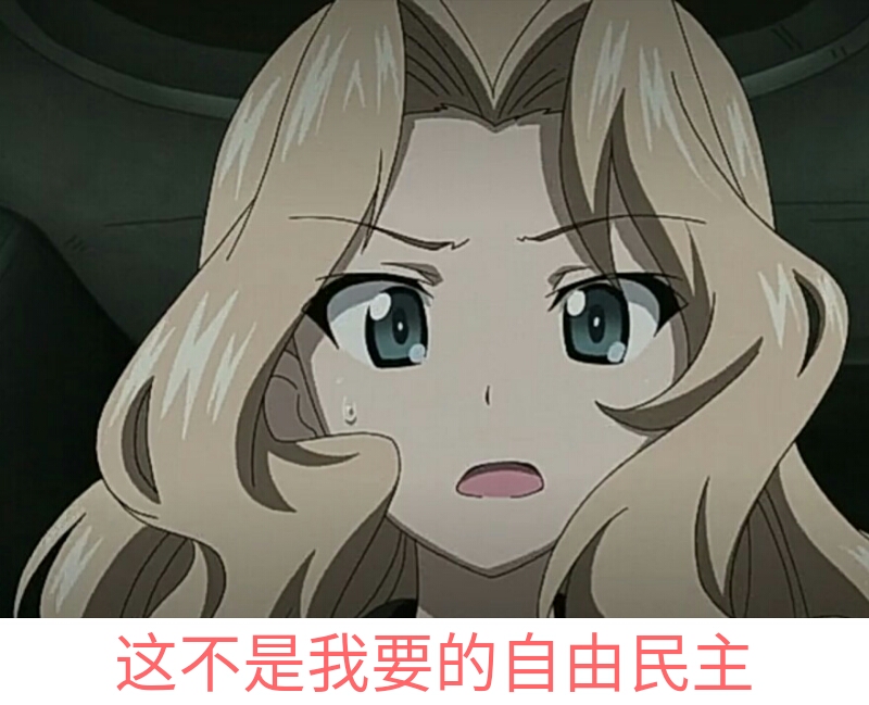 少女与战车表情包28th