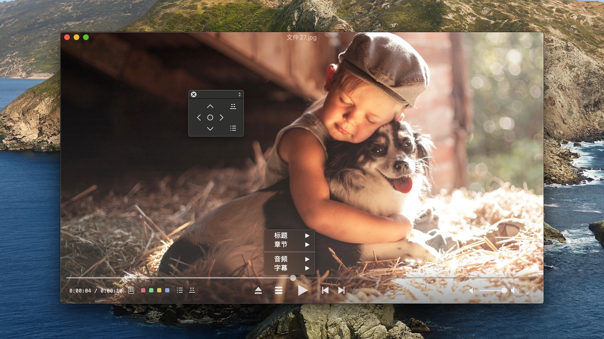 Bluray Player Pro for Mac(蓝光高清视频播放器) v3.3.21中文版 哔哩哔哩