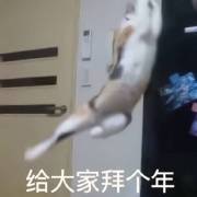 『防弹少年团』七个沙雕与一个大雕的日常发疯 「第二部之七夕特辑！」