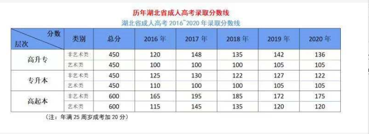学历提升助力职场梦想扬帆起航